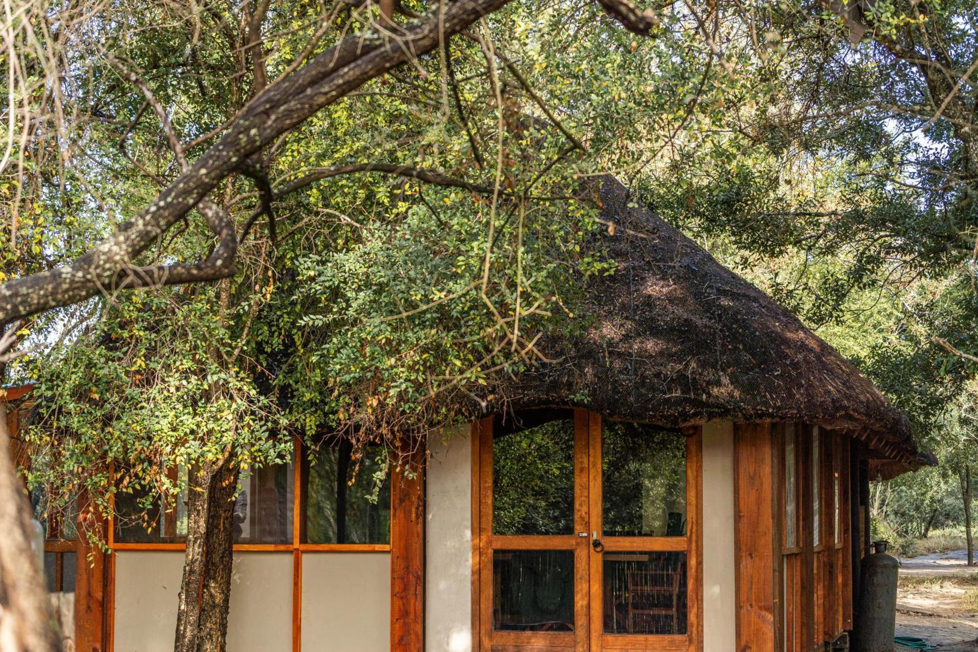 Ndzhaka Tented Camp Manyeleti vadrezervátum Kültér fotó