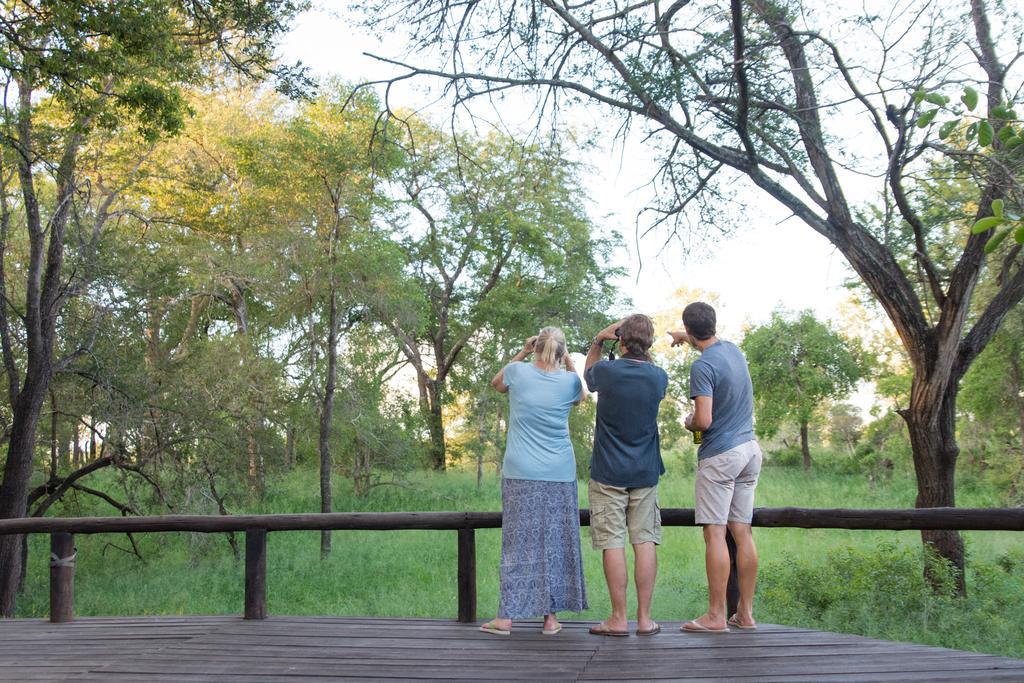 Ndzhaka Tented Camp Manyeleti vadrezervátum Kültér fotó