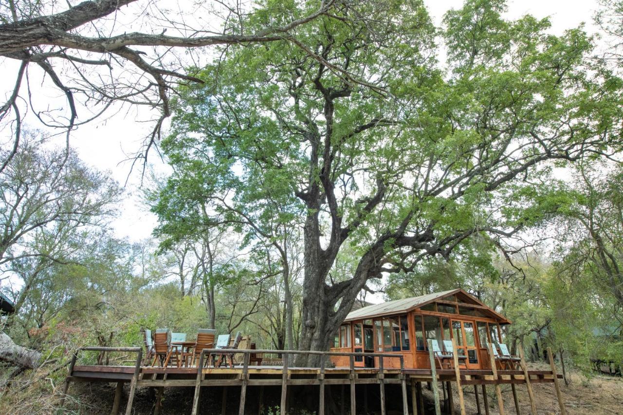 Ndzhaka Tented Camp Manyeleti vadrezervátum Kültér fotó